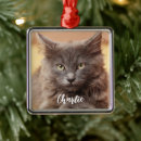 Search for pet name christmas tree decorations Fun