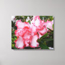 Search for azalea canvas prints White