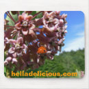 Search for milkweed mouse mats Flower