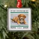 Search for new puppy christmas tree decorations Modern