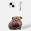 Search for english bulldogs iphone cases Animals