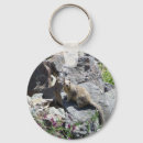 Search for marmot key rings Cute