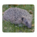 Search for hedgehog chopping boards Mammal