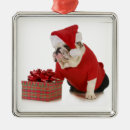 Search for dog costume christmas tree decorations Animal