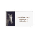 Search for maree photography Horses