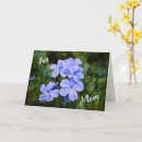 Search for blue flowers mothers day cards Mum