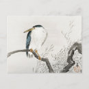 Search for wildlife art postcards Bird