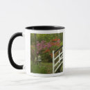 Search for azalea drinkware Garden