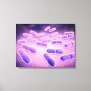 Search for pathogen Healthcare
