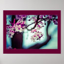 Search for blooming sakura tree posters Cherry blossom
