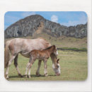 Search for colt mouse mats Foal