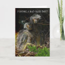 Search for wildlife supporters cards Nature
