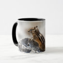 Search for curious mugs Wildlife