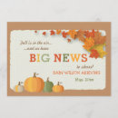 Search for autumn pregnancy announcement cards Pumpkins