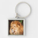 Search for adam jones key rings Colour image