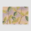 Search for leaf plant tissue paper Green