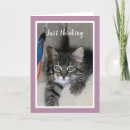 Search for friendship cards Cat