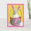 Search for bunny cat easter cards Cats