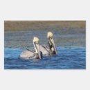 Search for seabird stickers Wildlife