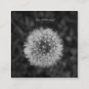 Search for flower seeds invitations Dandelion