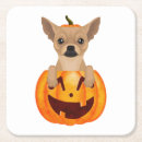 Search for funny dog coasters Chihuahua