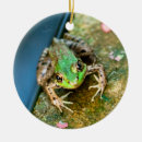 Search for frog christmas tree decorations Kiss