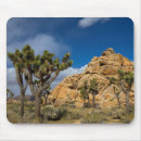 Search for joshua tree mouse mats National park