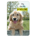 Search for you are my sunshine gifts Dog