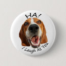 Search for beagle accessories Hound