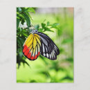 Search for good wishes postcards Best