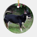 Search for alert christmas tree decorations Bob and pam langrish