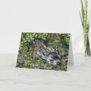 Search for blend cards Cute