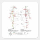 Search for chart stickers Health