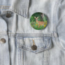 Search for fawn badges Nature