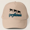 Search for greyhound hats Dog