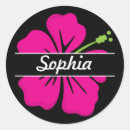 Search for pink hibiscus flower stickers Hawaiian
