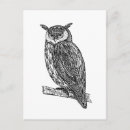 Search for zen doodle postcards Owl