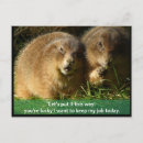 Search for snarky postcards Humour