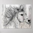 Search for black and white horse posters I love horses