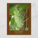 Search for grape wedding postcards Winery
