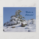 Search for colorado postcards Snow