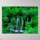 Search for cascading waterfall posters Tropical