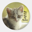 Search for unique cat magnets Cute