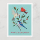 Search for chickadee postcards Cardinal