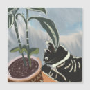 Search for tabby cards magnets Cute
