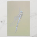 Search for dragonfly stationery paper Animal