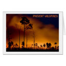Search for wildfire Nature