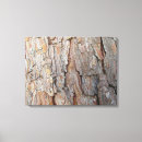 Search for tree bark canvas prints Autumn