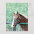 Search for gal postcards Friend