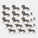 Search for black hair wrapping paper Doxie
